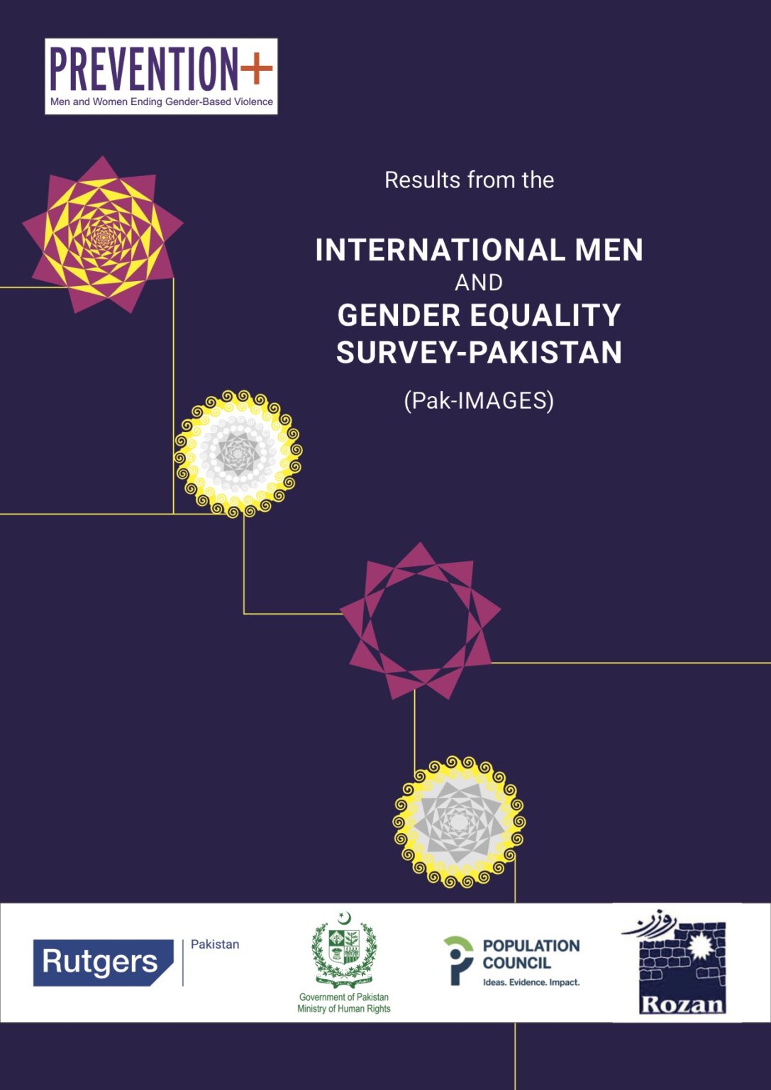 gender equality in pakistan essay pdf